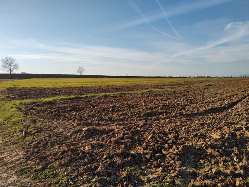 Terreno agricolo in Vendita a Casciana Terme Lari, zona Lavaiano, 140'000€, 70000 m²