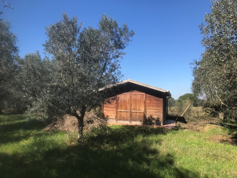Casa Indipendente in Vendita a Cecina, 90'000€, 20 m²