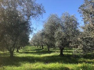Casa Indipendente in Vendita a Cecina, 90'000€, 20 m²