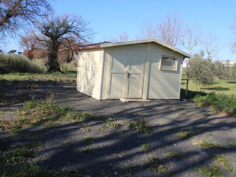 Terreno agricolo in Vendita a Bibbona, zona La California, 75'000€, 9000 m²