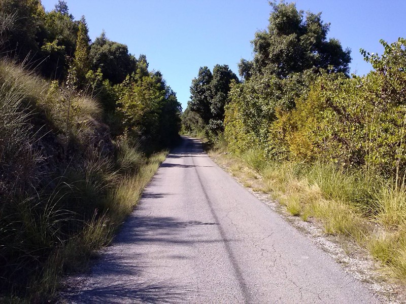 Terreno edificabile in Vendita a Riofreddo, 45'000€, 4200 m²