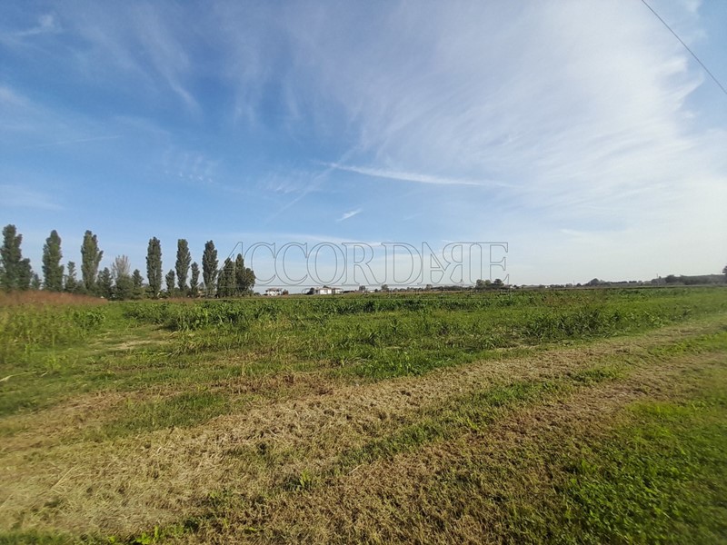 Terreno agricolo in Vendita a Campodoro, 165'000€, 
