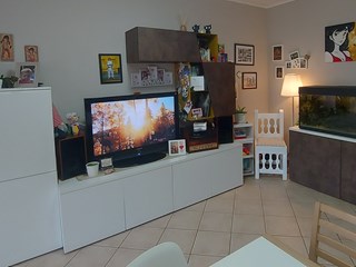 Trilocale in Vendita a San Pietro Viminario, zona Vanzo, 140'000€, 128 m²