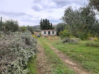 Terreno agricolo in Vendita a Siracusa, 55'000€, 7000 m²