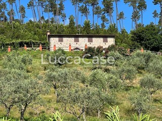 Casa di corte in Vendita a Buti, 790'000€, 275 m², arredato