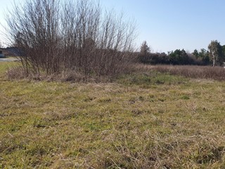 Terreno edificabile in Vendita a Lamporecchio, 260'000€, 2970 m²