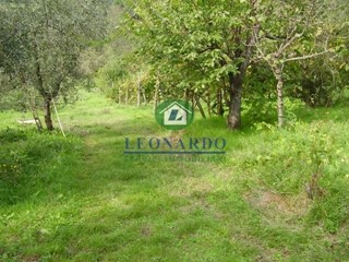 Terreno edificabile in Vendita a Massa e Cozzile, zona Margine Coperta, 80'000€, 900 m²