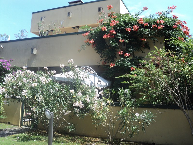 Quadrilocale in Affitto a Montignoso, zona cinquale, 100 m², arredato