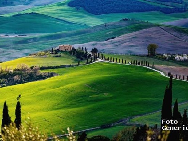 Immobile commerciale in Vendita a Crespina Lorenzana, zona Crespina, 300'000€, 290 m²