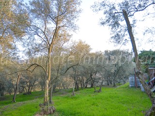 Terreno agricolo in Vendita a Quiliano, zona Roviasca, 12'000€, 3720 m²