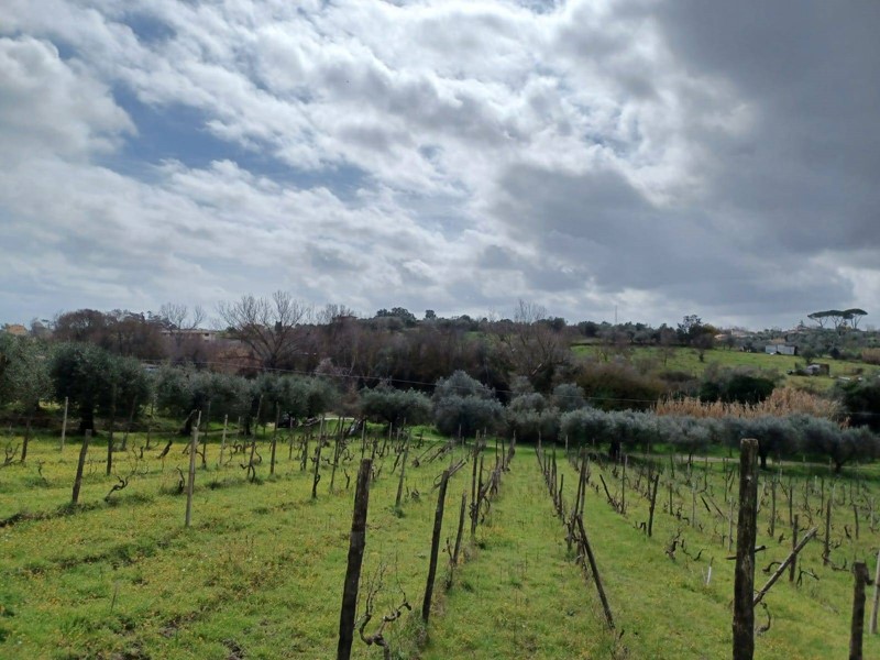 Terreno agricolo in Vendita a Roma, 49'000€, 9000 m²