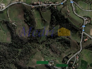 Terreno agricolo in Vendita a Bertinoro, zona Collinello, 100'000€, 82700 m²