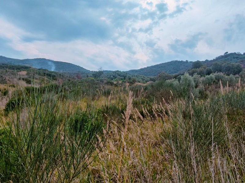 Terreno agricolo in Vendita a Ascea, zona Ascea capoluogo, 55'000€, 34000 m²