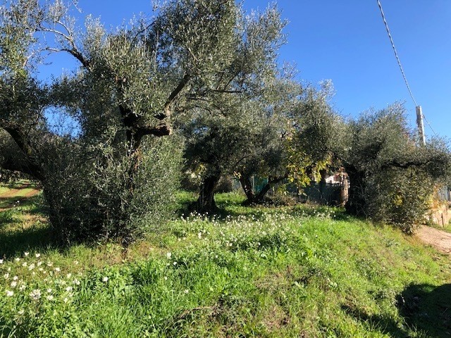 Terreno edificabile in Vendita a Marcellina, 80'000&euro;, 1 m²