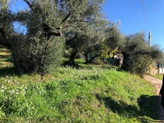 Terreno edificabile in Vendita a Marcellina, 80'000&euro;, 1 m²