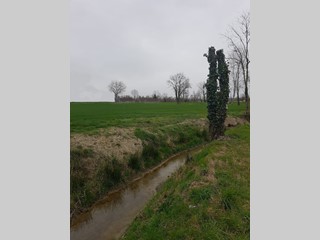 Terreno edificabile in Vendita a Noale, 160'000&euro;, 360 m²