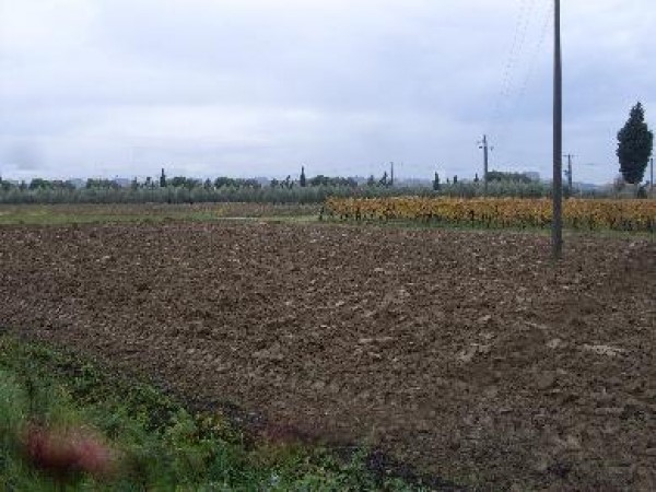 Terreno edificabile in Vendita a San Miniato, 360'000€, 4000 m²
