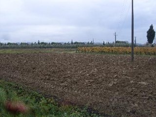 Terreno edificabile in Vendita a San Miniato, 360'000€, 4000 m²
