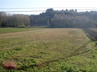 Terreno agricolo in Vendita a San Miniato, 35'000€, 5600 m²