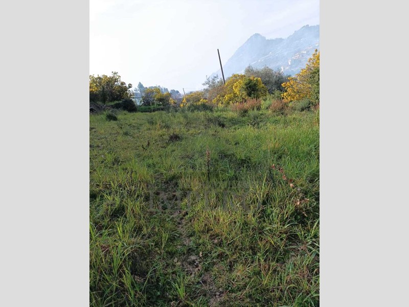 Terreno agricolo in Vendita a San Biagio della Cima, 130'000€, 2615 m²