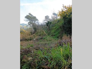 Terreno agricolo in Vendita a San Biagio della Cima, 130'000€, 2615 m²