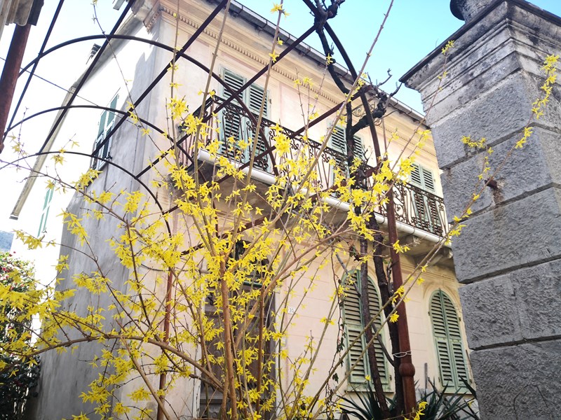 Villa in Vendita a Borzonasca, zona Entroterra Chiavari, 228'000€, 220 m², arredato