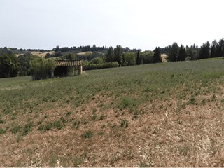 Terreno agricolo in Vendita a Peccioli, zona Via San Giusto, 34, 45'000€, 23000 m²