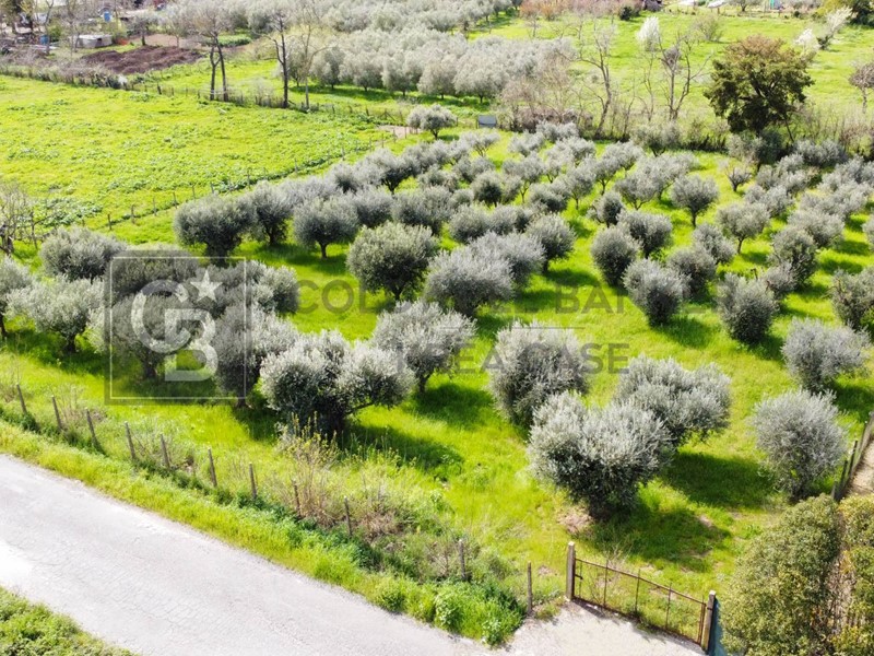 Terreno agricolo in Vendita a Roma, 35'000€, 4591 m²