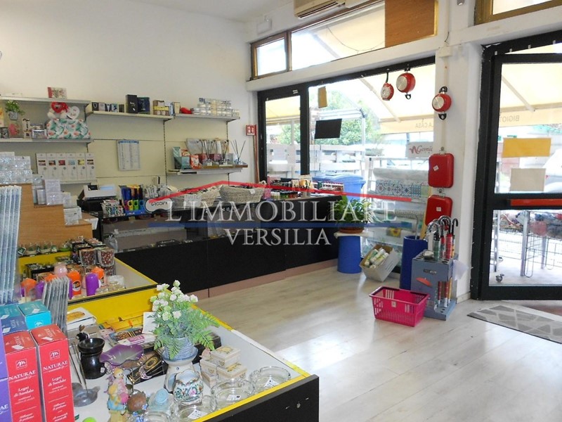 Attività commerciale in Vendita a Massa, zona Marina di Massa, 60'000&euro;, 90 m²