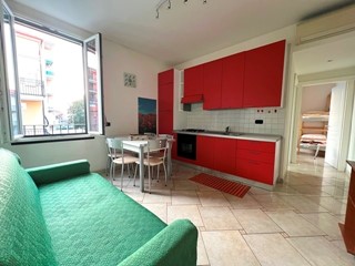 Bilocale in Affitto a San Bartolomeo al Mare, 900€, 60 m², arredato