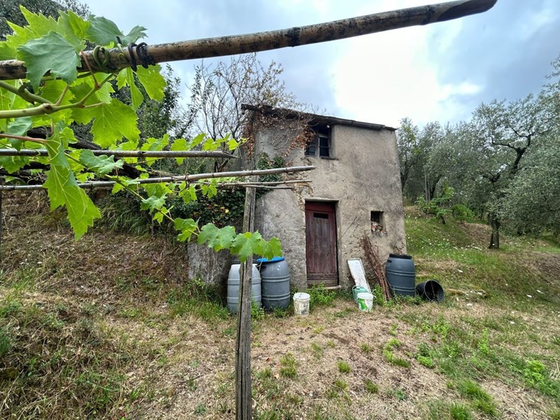 Terreno edificabile in Vendita a Arcola, zona Trebiano, 85'000€, 5000 m²