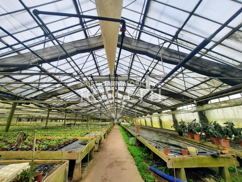 Terreno agricolo in Vendita a Cerreto Guidi, 220'000€, 25000 m²