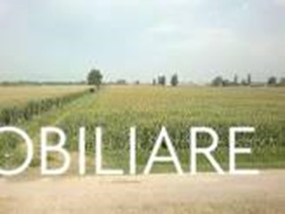 Terreno agricolo in Vendita a Vecchiano, zona Nodica, 19'000€, 5830 m²