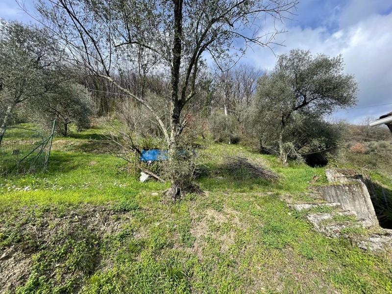 Casa Semi Indipendente in Vendita a Calice al Cornoviglio, zona Calice al Cornoviglio, 55'000€, 105 m²