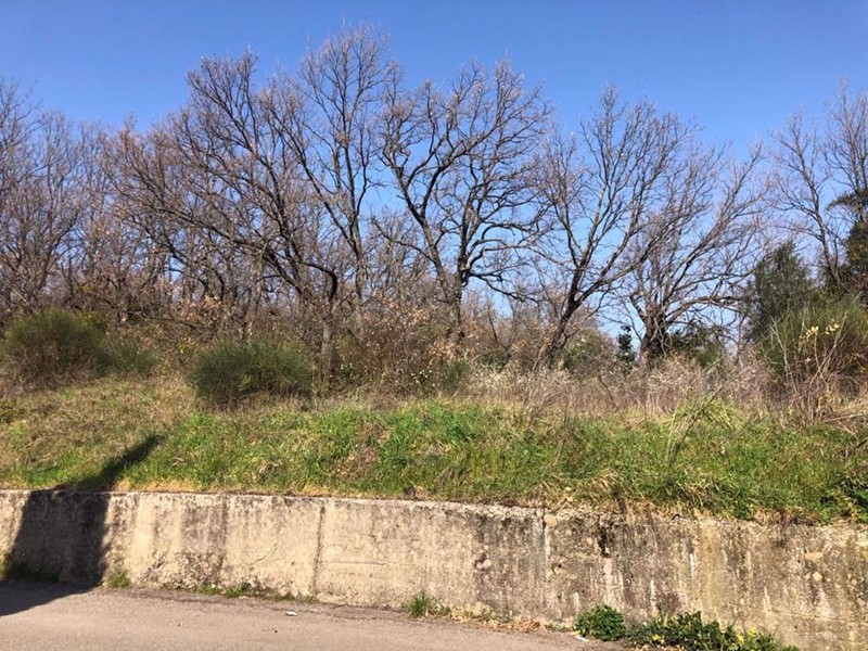 Terreno agricolo in Vendita a Cosenza, 70'000€, 760 m²