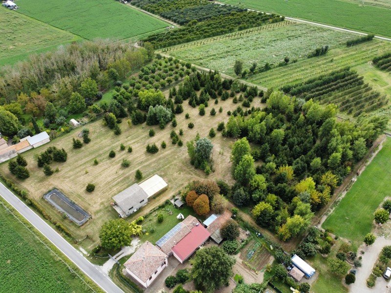 Terreno agricolo in Vendita a Minerbio, 95'000€, 13330 m²