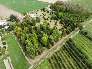 Terreno agricolo in Vendita a Minerbio, 95'000€, 13330 m²