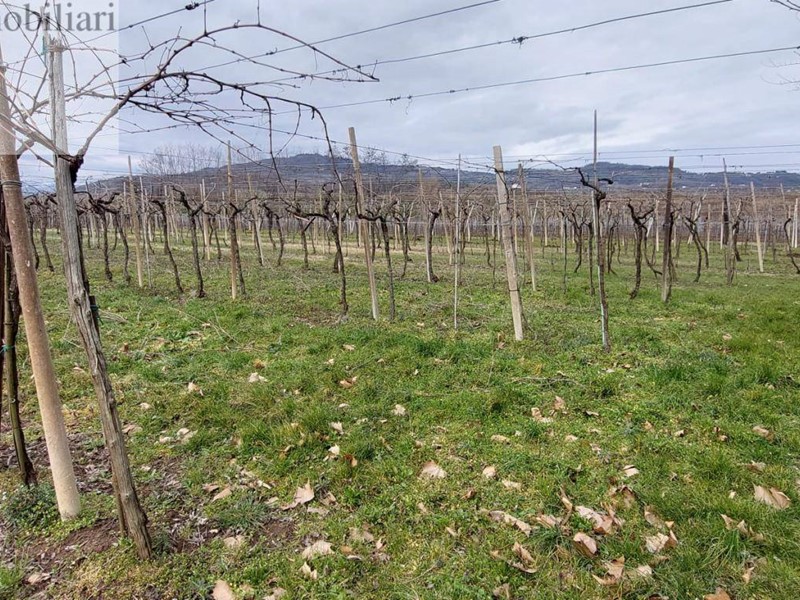 Terreno agricolo in Vendita a Montecchia di Crosara, 50'000€, 3555 m²