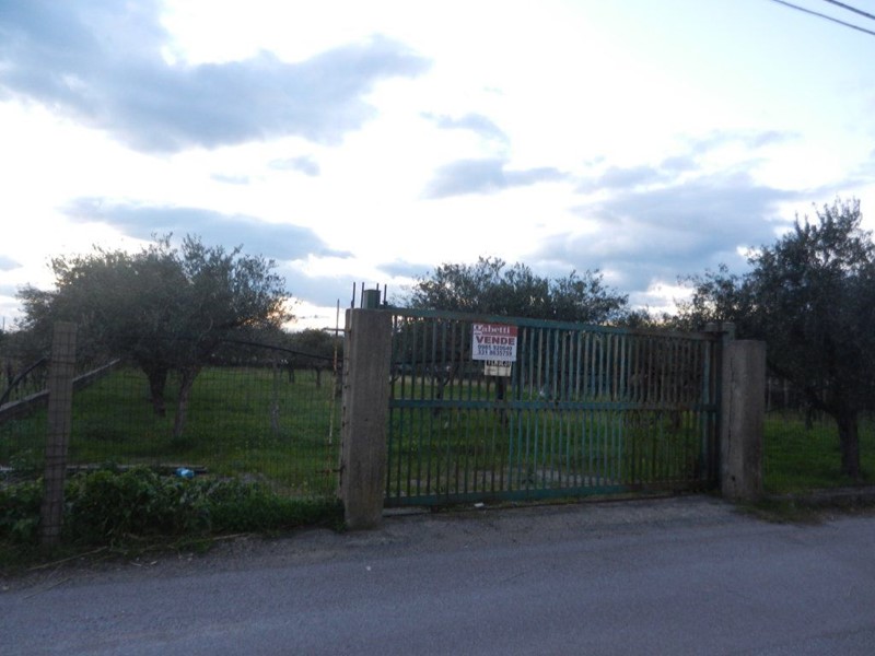 Terreno edificabile in Vendita a Scalea, 130'000€, 2800 m²