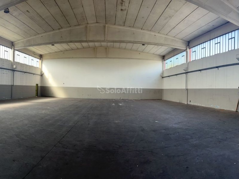 Capannone in Affitto a San Giovanni Teatino, zona Sambuceto, 5'000€, 800 m²