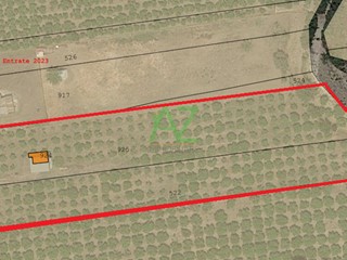 Terreno agricolo in Vendita a Motta Sant'Anastasia, 135'000€, 10000 m²