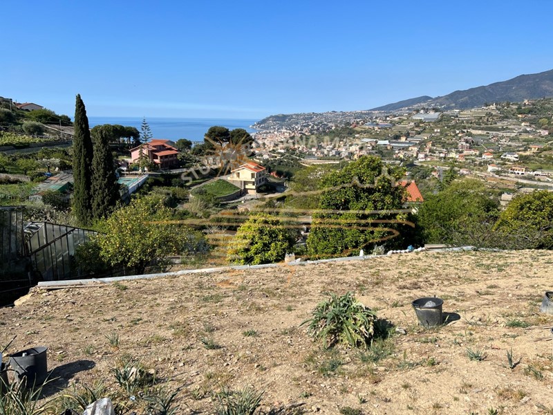 Terreno agricolo in Vendita a Sanremo, zona Poggio, 29'000€, 2500 m²