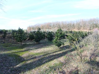 Terreno agricolo in Vendita a Larciano, 300'000€, 86038 m²