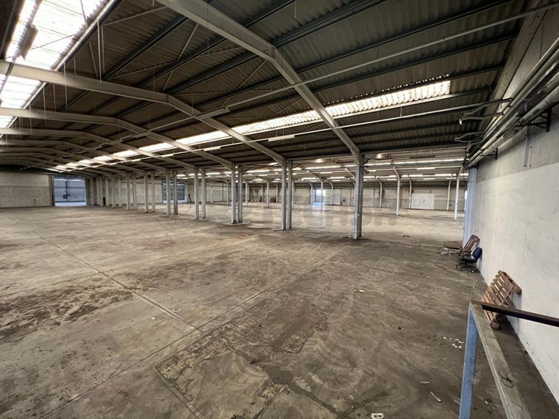 Capannone in Vendita a Manzano, 17600 m²