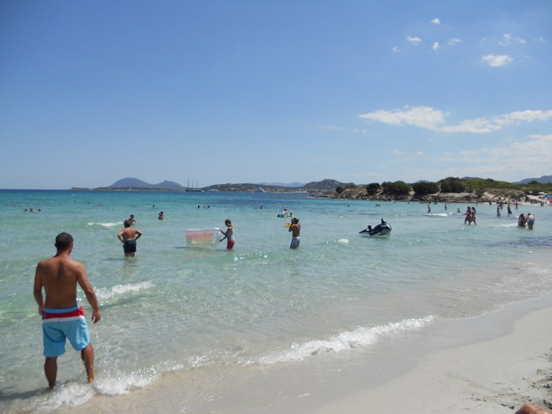 Bilocale in Affitto a Arzachena, zona Cannigione, 700€, 48 m², arredato