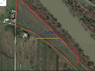 Terreno agricolo in Vendita a Cascina, 30'000€, 20000 m²