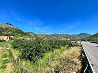 Terreno agricolo in Vendita a Castel San Giorgio, 4000 m²