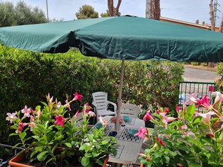 Monolocale in Affitto a Rio, zona Cavo, 550€, 30 m², arredato