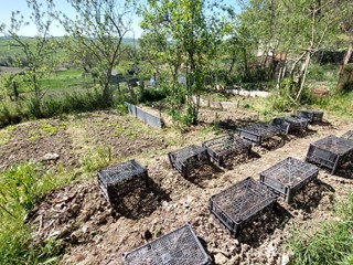 Terreno agricolo in Vendita a Asciano, 12'000€, 506 m²