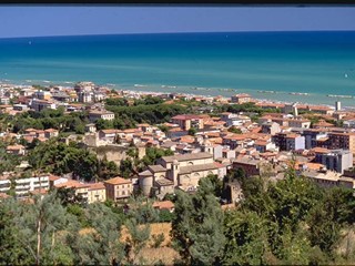 Attività commerciale in Vendita a Porto San Giorgio, 6'500'000€, 3590 m², arredato